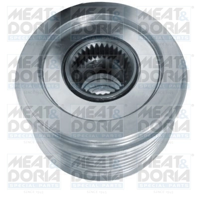 Alternator Freewheel Clutch